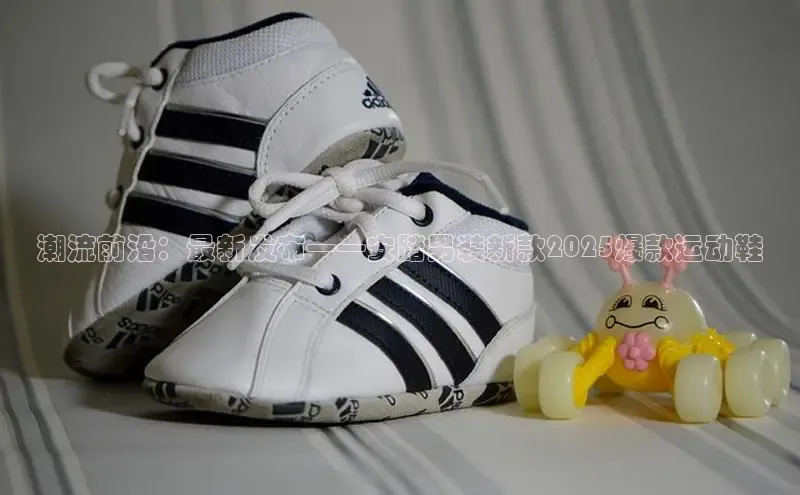 必一运动bsport体育